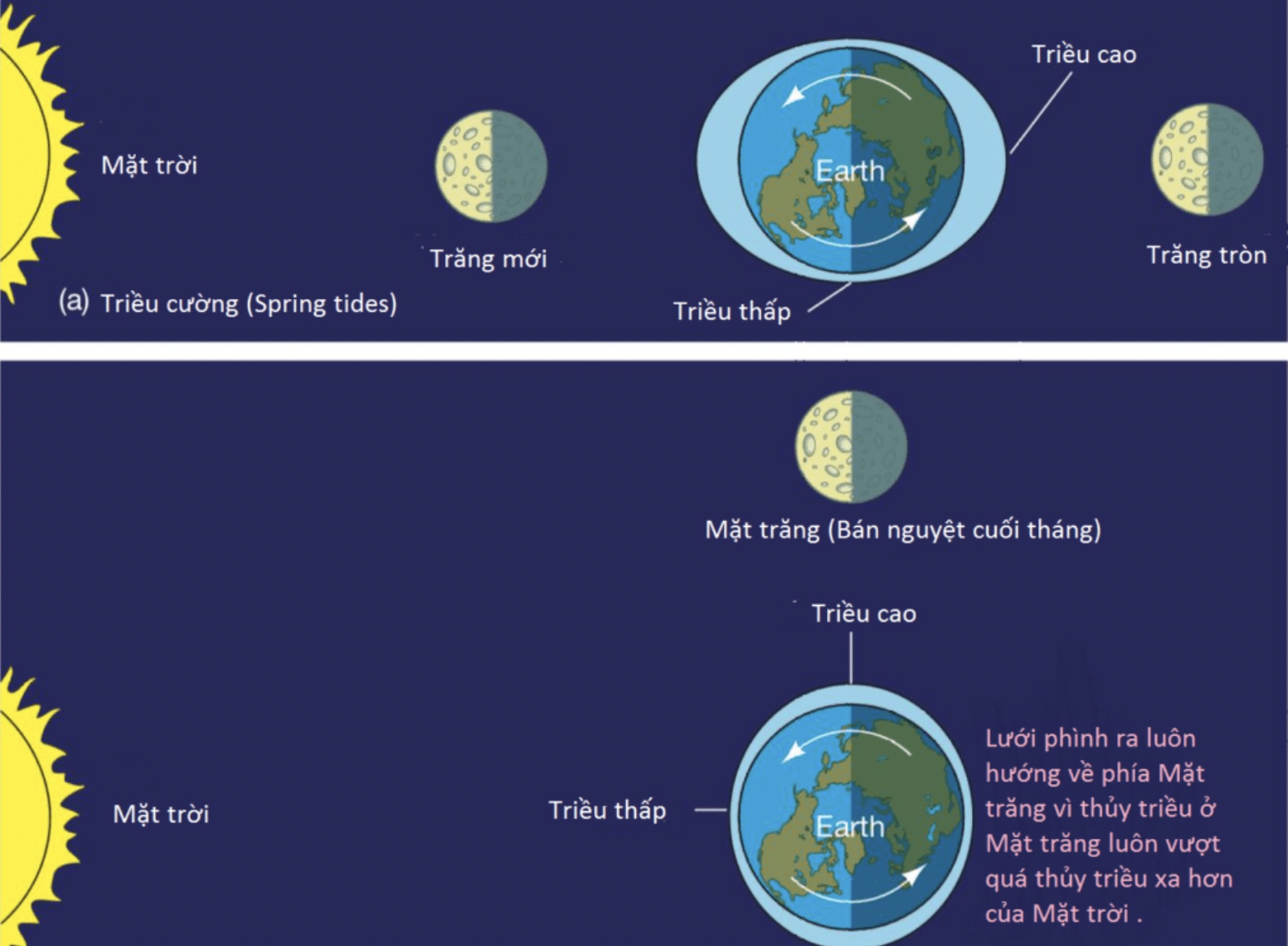 Hiện tượng thuỷ triều do lực hút của măt trăng và mặt trời