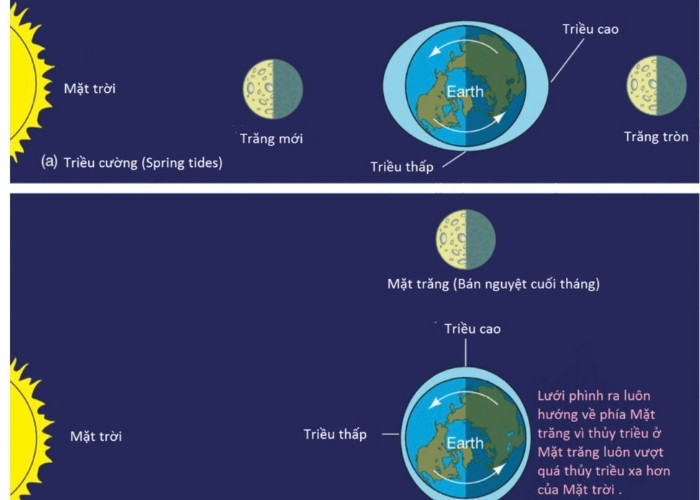 Hiện tượng thuỷ triều khi theo vận hành của mặt trăng-mặt trời và trái đất